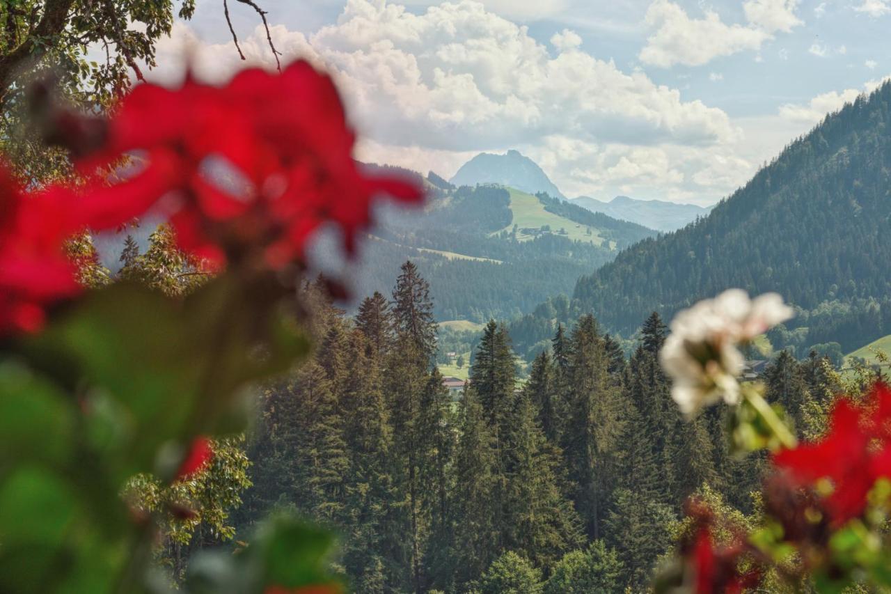 Apartment Wachinghof Reith bei Kitzbühel Dış mekan fotoğraf