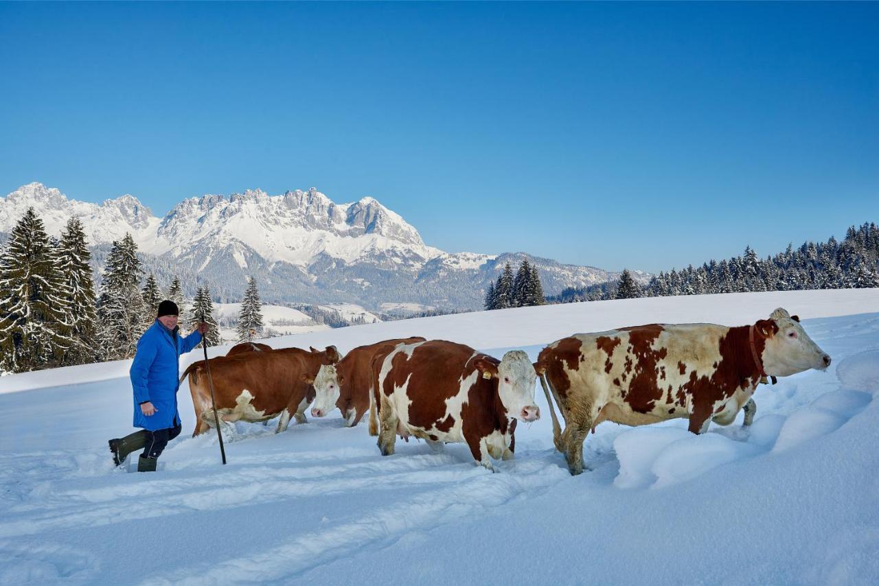 Apartment Wachinghof Reith bei Kitzbühel Dış mekan fotoğraf