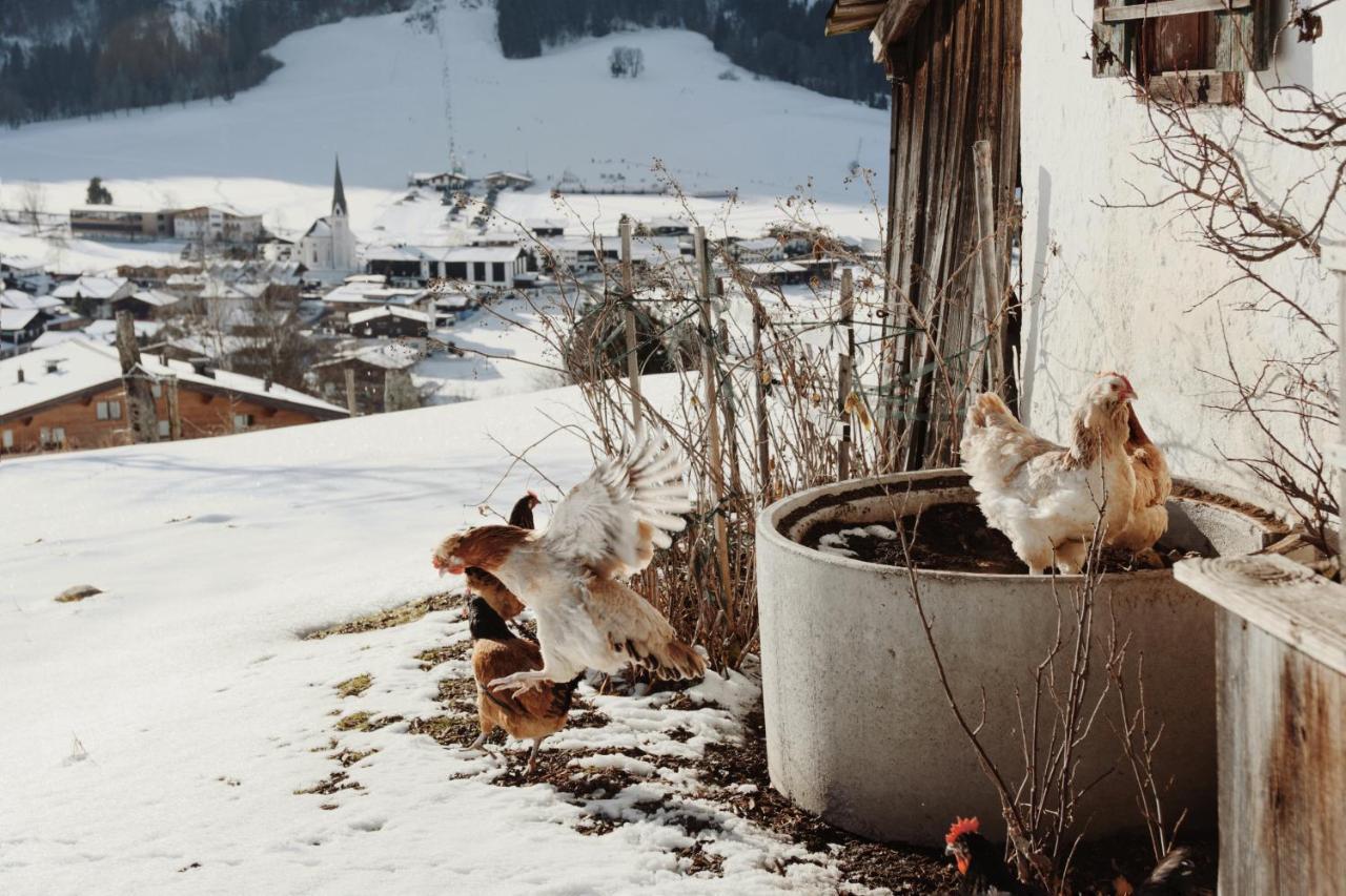 Apartment Wachinghof Reith bei Kitzbühel Dış mekan fotoğraf